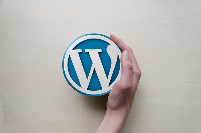 Wordpress – základ tvorby web stránok